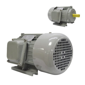 MOTOR TRIFASICO 4 HP BAJA Y100L2