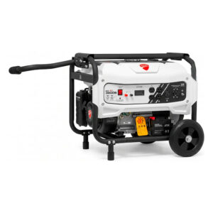 Planta Eléctrica a Gasolina Ducati DGR3200S 3200W 110V/220V